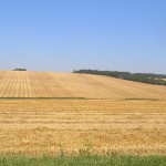 Dražba - Trvalé trávne porasty v Kozárovciach